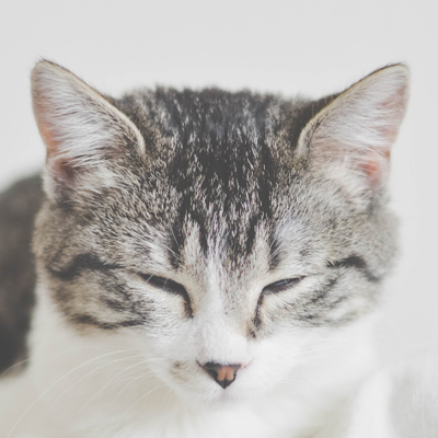 为极端环境与实时控制提供稳定可靠的核心